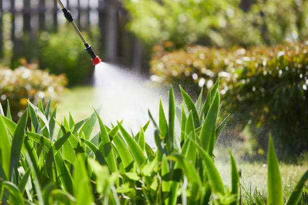 24/7 Emergency Ant Control experts in St. Anthony, ID